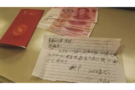 灵宝为什么选择专业追讨公司来处理您的债务纠纷？